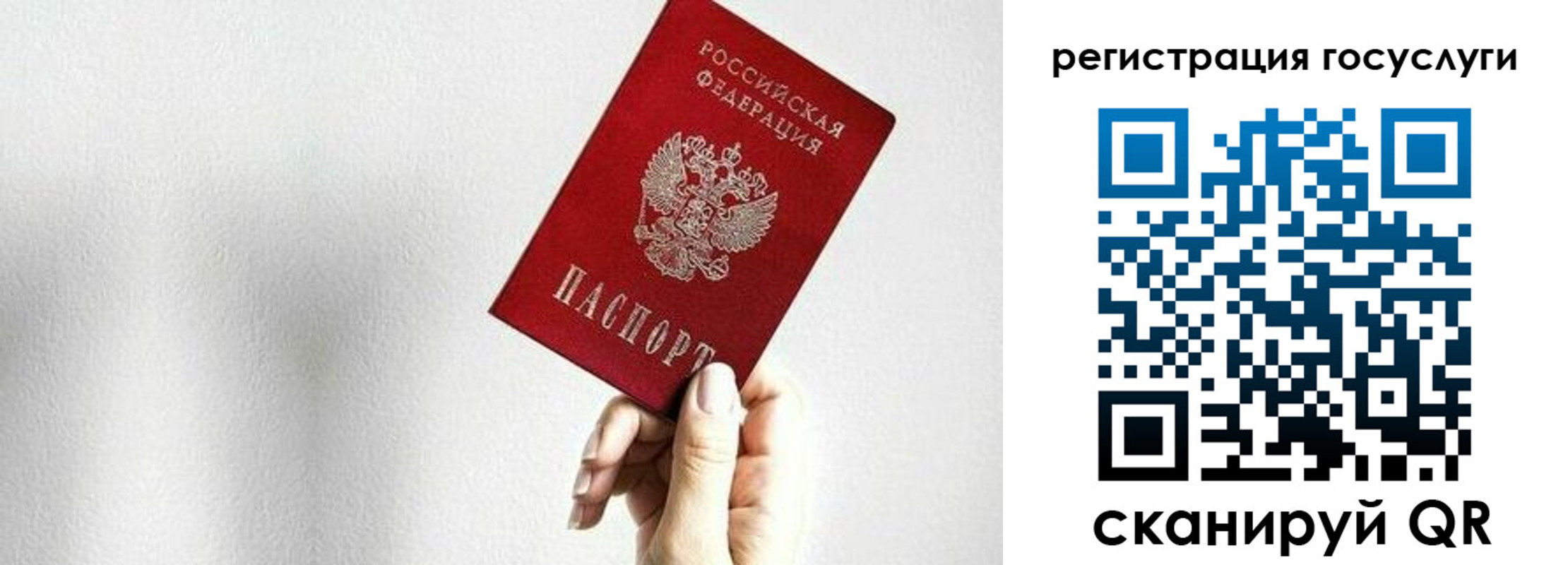 прописка гарантия в Выксе